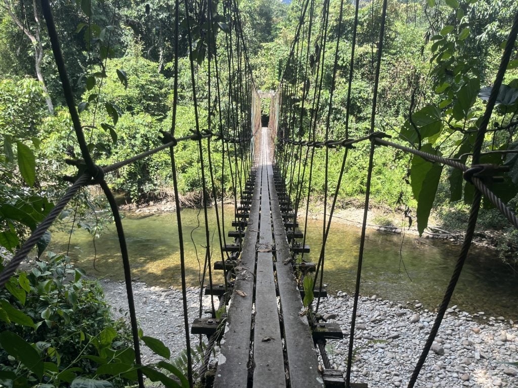 kristy-battista-allume-cto-bridge-borneo