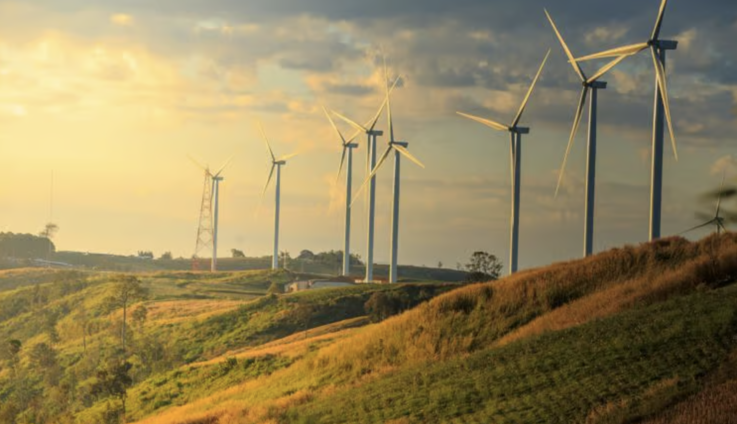 5 Green Energy Companies in Australia to Know by Abel Rodriguez